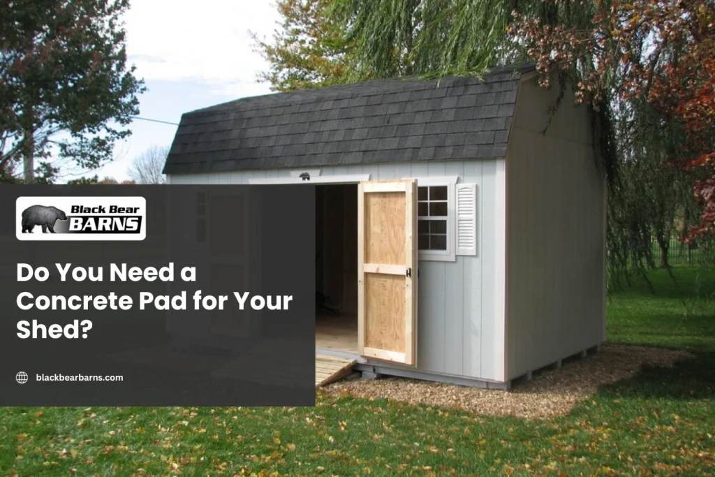 barn shed with two doors in a backyard