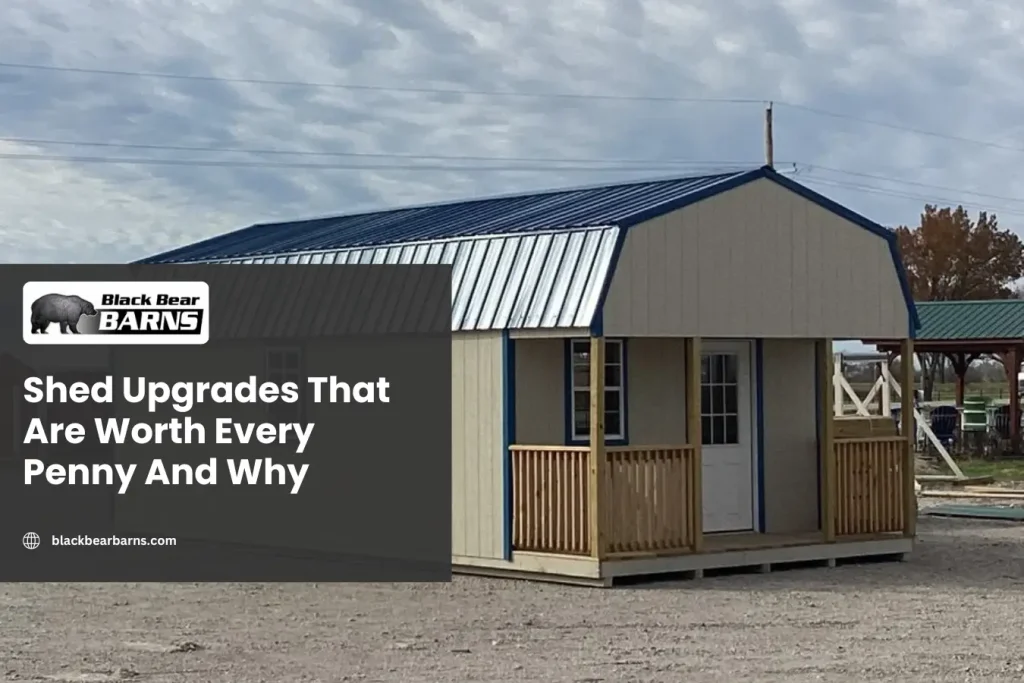 Shed Upgrades That Are Worth Every Penny And Why