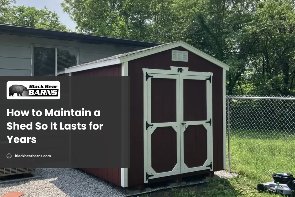 How to Maintain a Shed So It Lasts for Years
