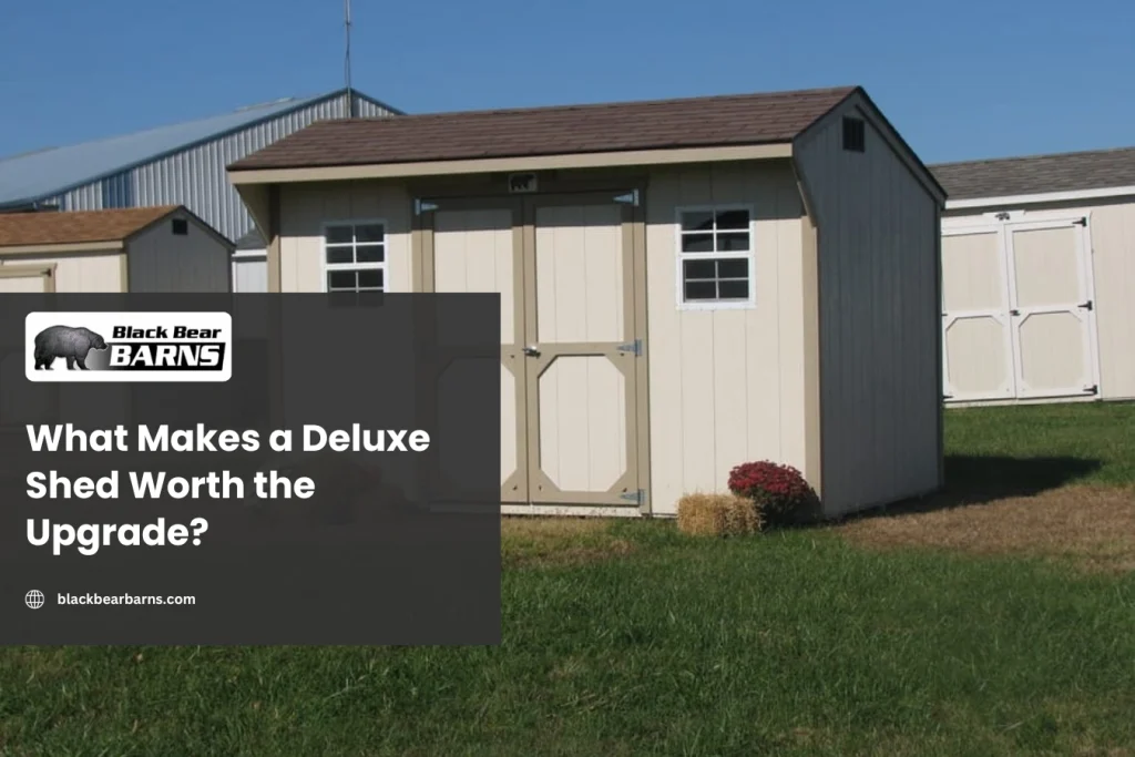 What Makes a Deluxe Shed Worth the Upgrade