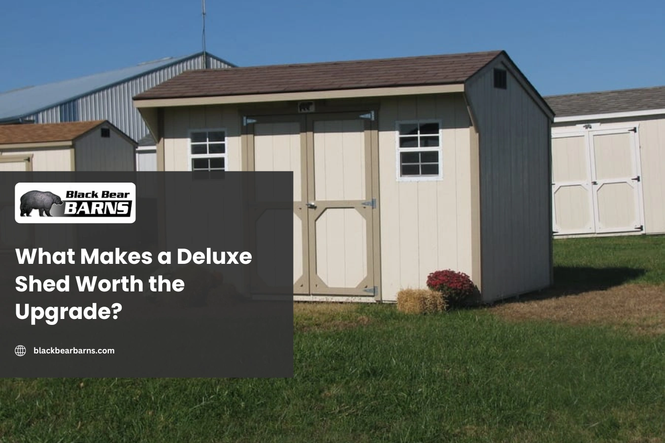 What Makes a Deluxe Shed Worth the Upgrade