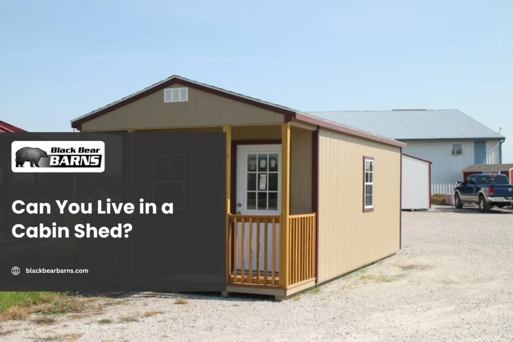 Can You Live in a Cabin Shed?