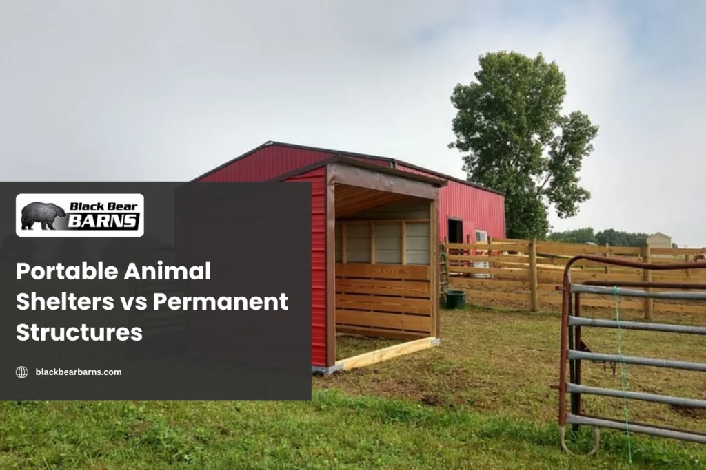 Portable Animal Shelters vs Permanent Structures